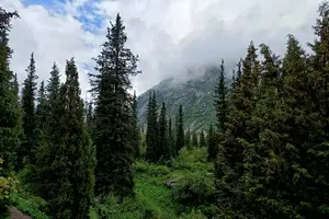 Tour image of Day trip to Ala-Archa National Park