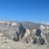 Image of Pack Animal Tours