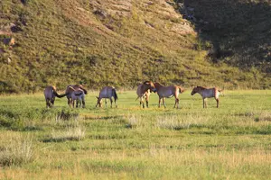 Tour image of 4 Days Tour: Central Mongolia