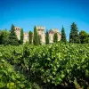 Image of Food Tours