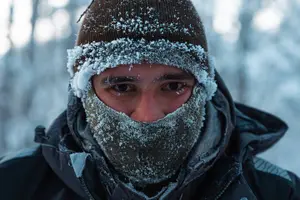 Tour image of 4hr Dog Sledding Trip on Finnmarksvidda
