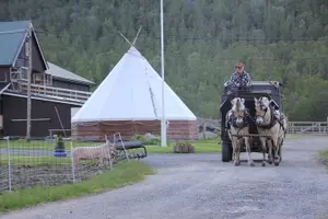 Tour image of Sleigh Ride w/ Tapas Meal - Experience Arctic Farm Life