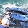 Image of Nature and Wildlife Tours