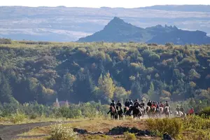 Tour image of Icelandic Horseback Riding Tour with pickup option from Reykjavik