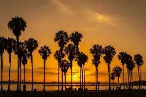 Tour image of Private Trip Los Angeles, Beverly Hills, Hollywood From Anaheim