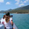 Image of Sailing