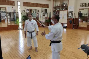 Tour image of Karate・Kobudo Online Training