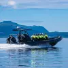 Image of Speed Boat Rentals