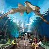 Image of Zoos & Wildlife Parks