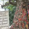 Image of Crime Tours