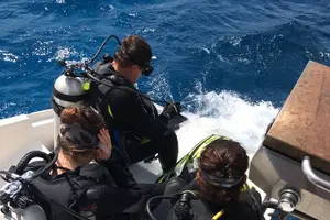 Tour image of Private Group Day Diving Safari on Catamaran from Sint Maarten.