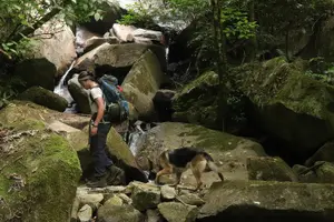 Tour image of Waterfall Hike