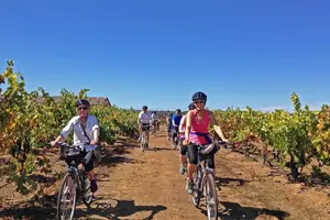 Tour image of Napa & Sonoma