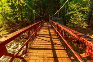 Tour image of Kings Canyon National Park Self-Guided Audio Tour