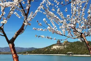 Tour image of Tianjin Port to Beijing Private 2-Day Tour Include Mutianyu Great Wall