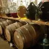 Image of Wine Tours