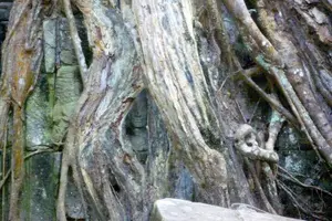 Tour image of Private Angkor Wat Day Tour - Best of Angkor