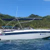 Image of Sightseeing Cruises