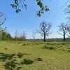 Image of Nature Walks