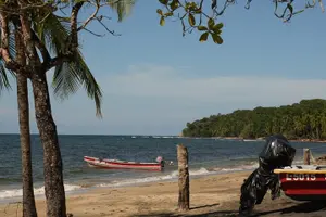 Tour image of 6-in-1 Tour: Cahuita National Park, Tortuguero Canals & More!