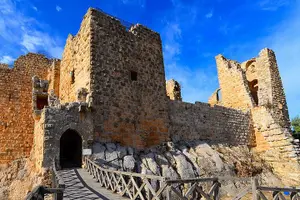 Tour image of Day Tour to Jerash and Ajloun Castle From The Dead Sea