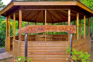 Tour image of Grenada Herb & Spice Tour -Fort Frederick, Chocolate & Waterfalls