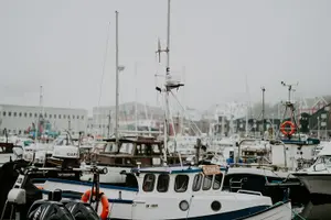 Tour image of Private and Guided Walking Tórshavn City Tour