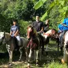 Image of Horseback Riding