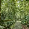 Image of Eco Tours