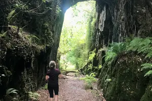Tour image of A Scare At Samhain