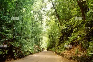 Tour image of Private Sightseeing Tour in & Around Ocho Rios