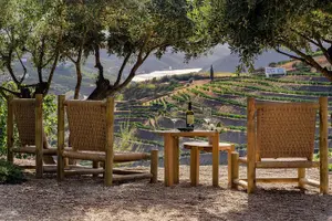 Tour image of Douro Valley Best-Of Private Tour – A Customizable Experience