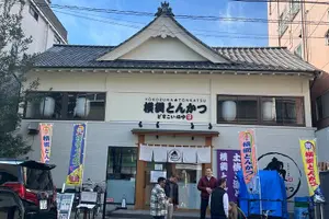 Tour image of the SUMO show
