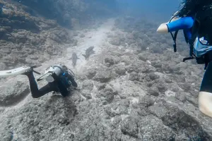 Tour image of Advanced Open Water Dive Certification in Tamarindo