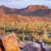 Image of Nature and Wildlife Tours