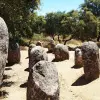 Image of Archaeology Tours