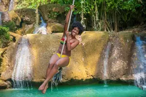 Tour image of Full-Day South Coast - YS Falls, Pelican Bar & Black River Safari