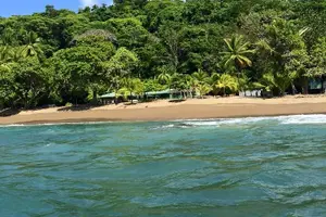 Tour image of One Day Tour To Corcovado From Sierpe