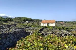Tour image of Half-Day West Side Tour in Terceira Island