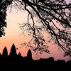 Image of Archaeology Tours