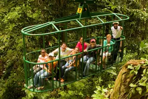 Tour image of St. Lucia Zip line, Aerial Tram and Hiking tour Ultimate 3