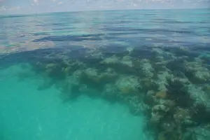 Tour image of Glass Bottom Boat and Snorkeling Combo in Bermuda