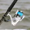 Image of Fishing Charters