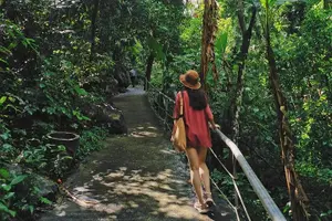 Tour image of Phong Nha & Paradise Cave - 1 Day All Inclusive