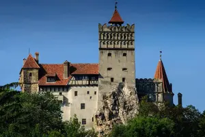Tour image of One day trip Bear Sanctuary, Dracula Castle, Rasnov Fortress from Brasov