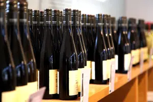 Tour image of Wachau Valley Wine Tasting Bike Tour from Vienna