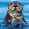 Image of Nature and Wildlife Tours