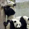 Image of Zoos & Wildlife Parks