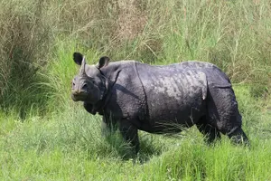 Image of Nepal