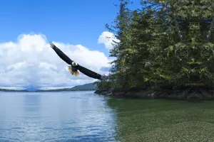 Tour image of Customizable Private Tour in Ketchikan with Pick Up
